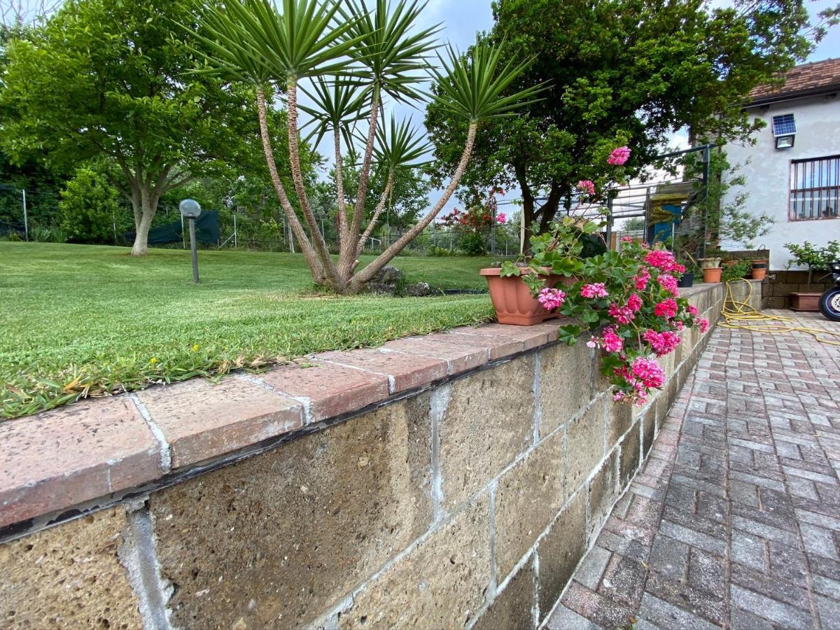 A Casa Di Nonna Emilia Acomodação com café da manhã Campagna Exterior foto