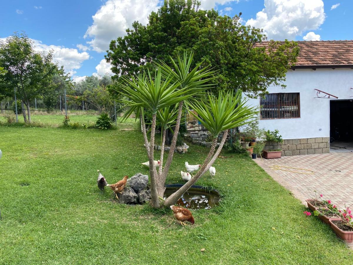 A Casa Di Nonna Emilia Acomodação com café da manhã Campagna Exterior foto