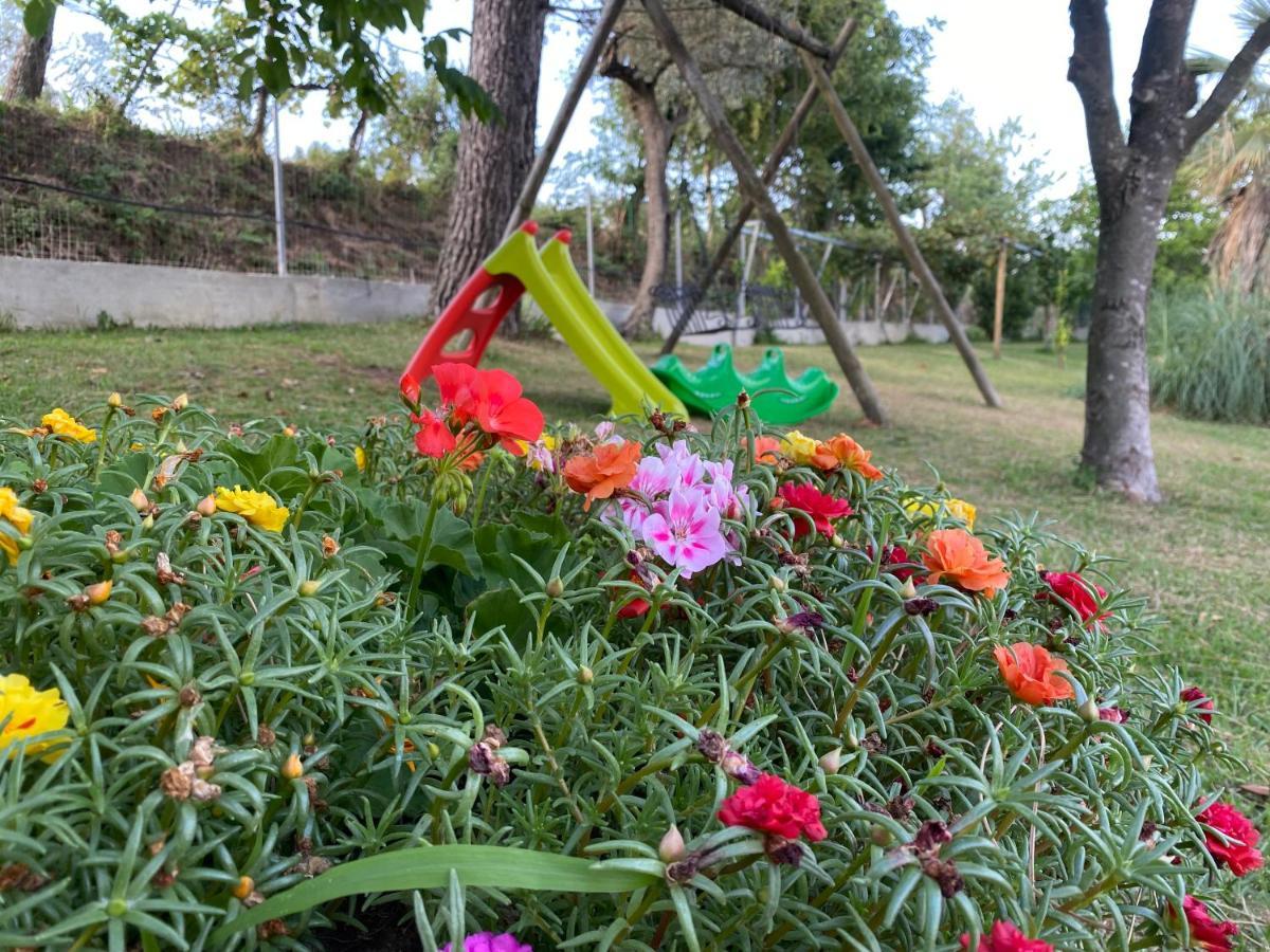 A Casa Di Nonna Emilia Acomodação com café da manhã Campagna Exterior foto